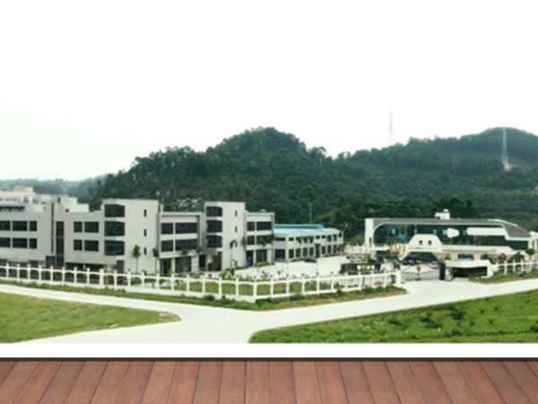 Corporate environment